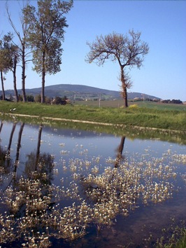 Laghi....delle MARCHE